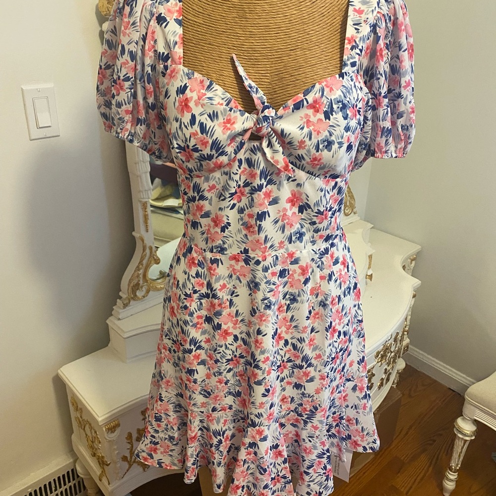 Yumi Kim Charlotte Dress in Blush Pink and Blue Floral